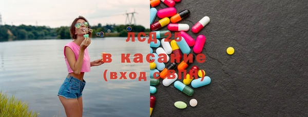 дмт Богданович