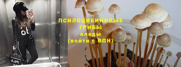 прущая мука Богородск