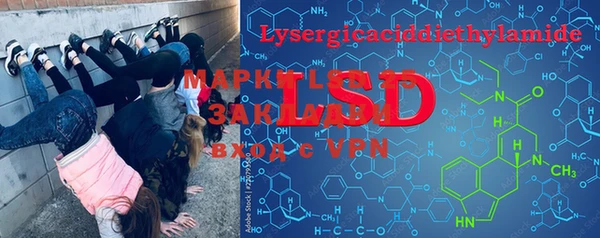 дмт Богданович