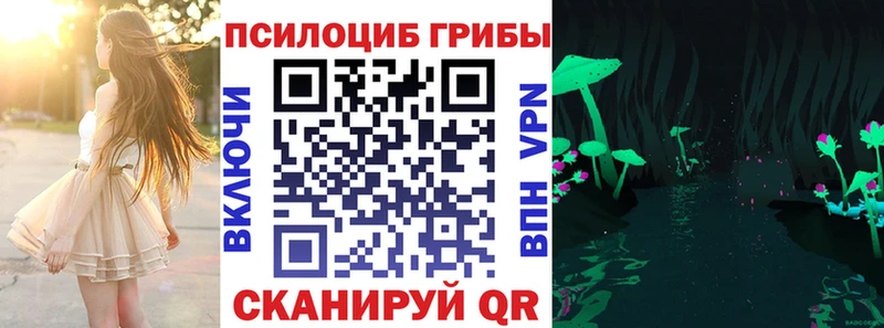 дарк нет состав  Мамадыш  Псилоцибиновые грибы мицелий 